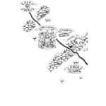 BS2601-3
