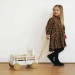 Carro de Puxar para Brinquedos