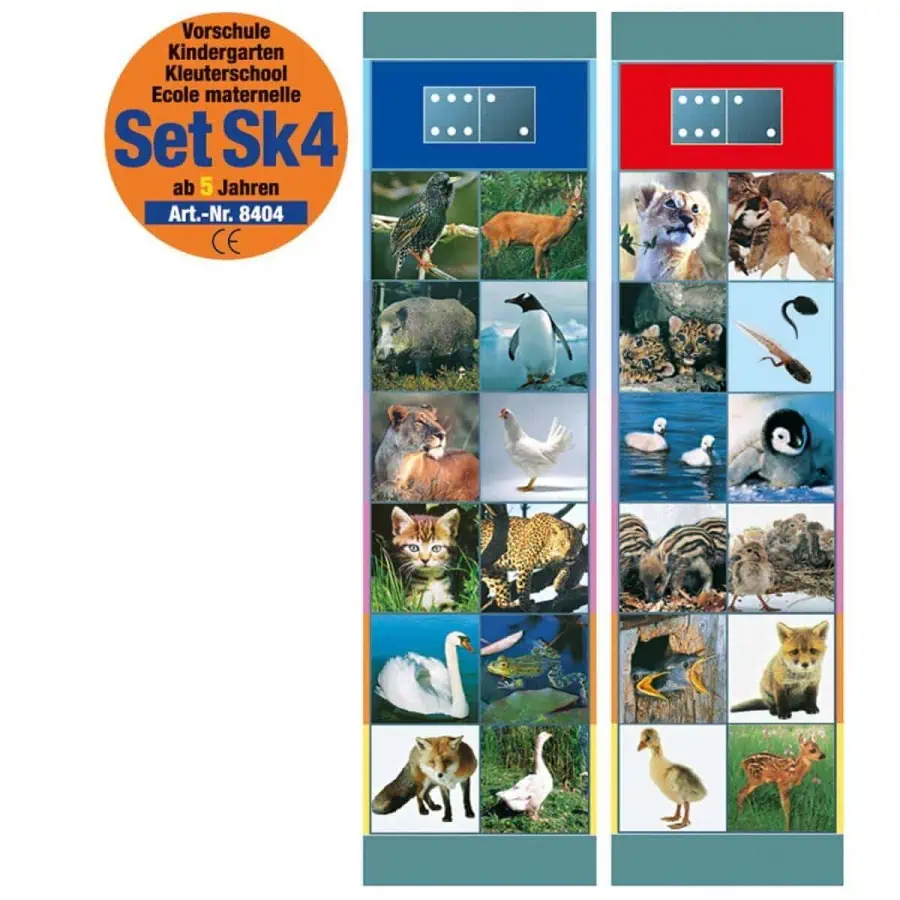 "cartão 8 dos flocards set sk4"