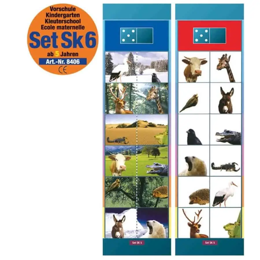 "cartão 5 dos flocards set sk6"