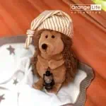Peluche Ouriço Prickle com Lanterna