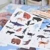Autocolantes e Poster Discovery Animais do Mundo