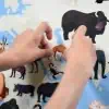 Autocolantes e Poster Discovery Animais do Mundo