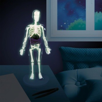 Kit de Experiências Corpo Humano - BUKI