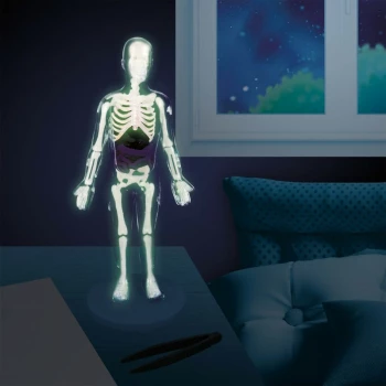 Kit de Experiências Corpo Humano – BUKI Kit de Experiências Corpo Humano - BUKI