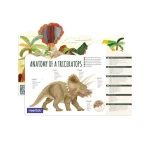 Puzzle 3D Triceratops - mierEdu