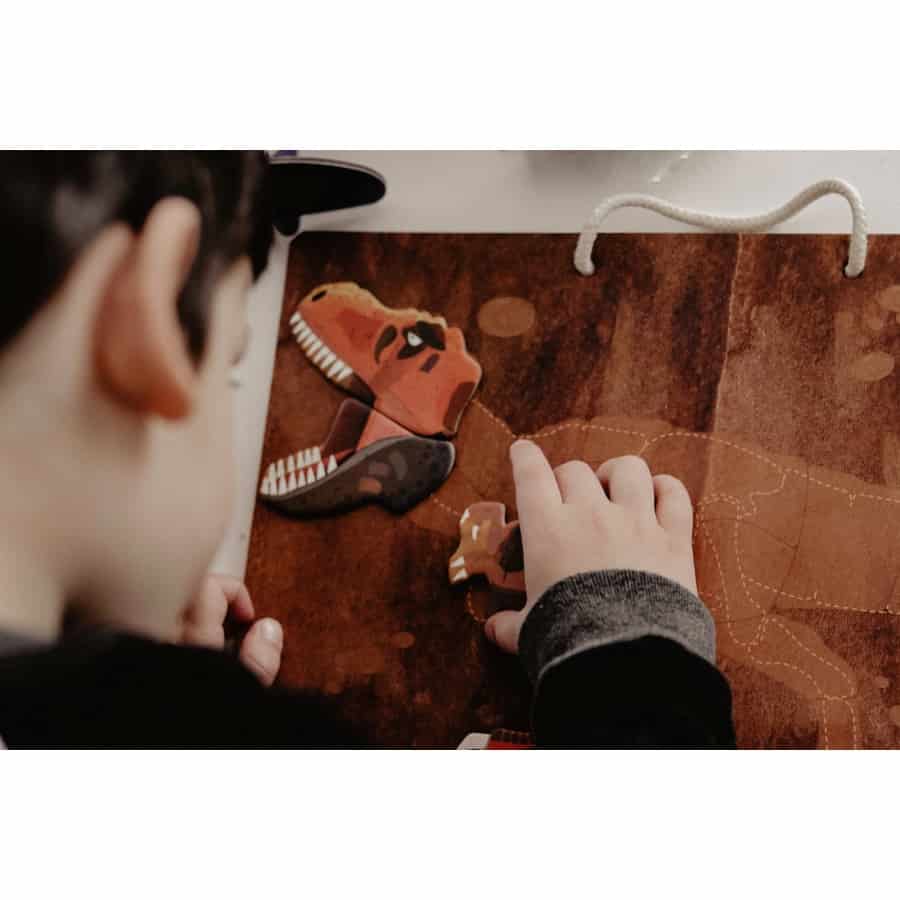 Magnetic Pad T-Rex - mierEdu Magnetic Pad T-Rex - mierEdu