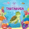 A viagem da tartaruga - Ciclos da Natureza - Booksmile