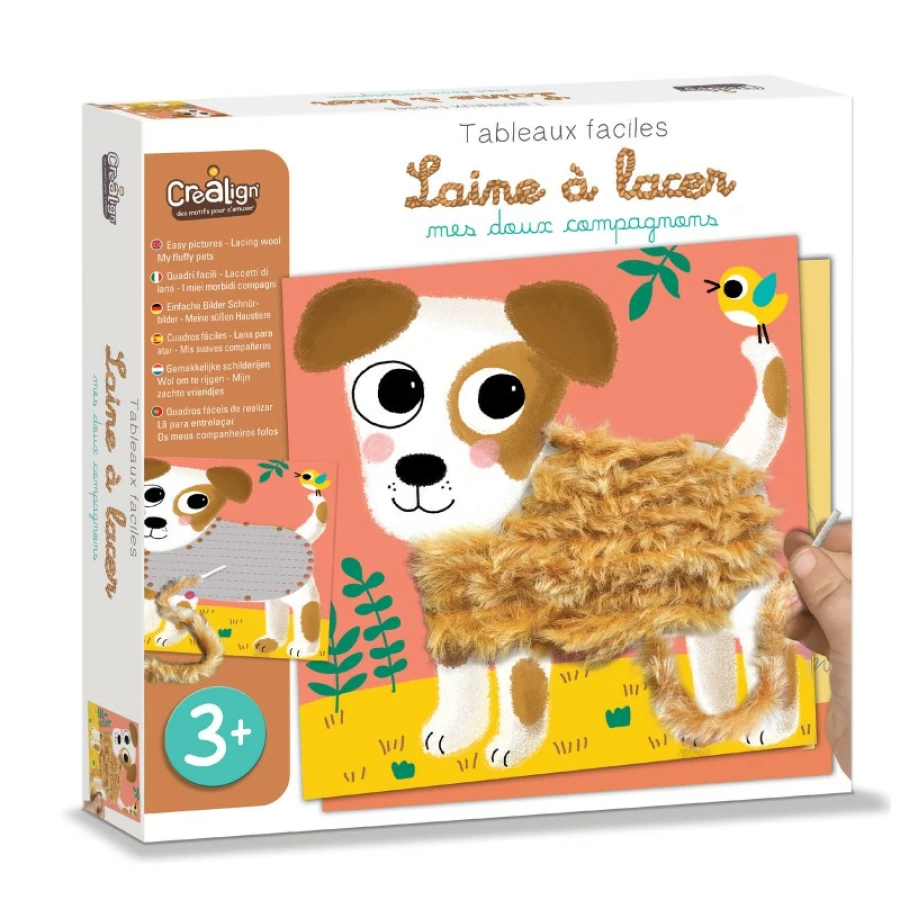 Conjunto de enlaçar com lã animais de estimação - Créalign'