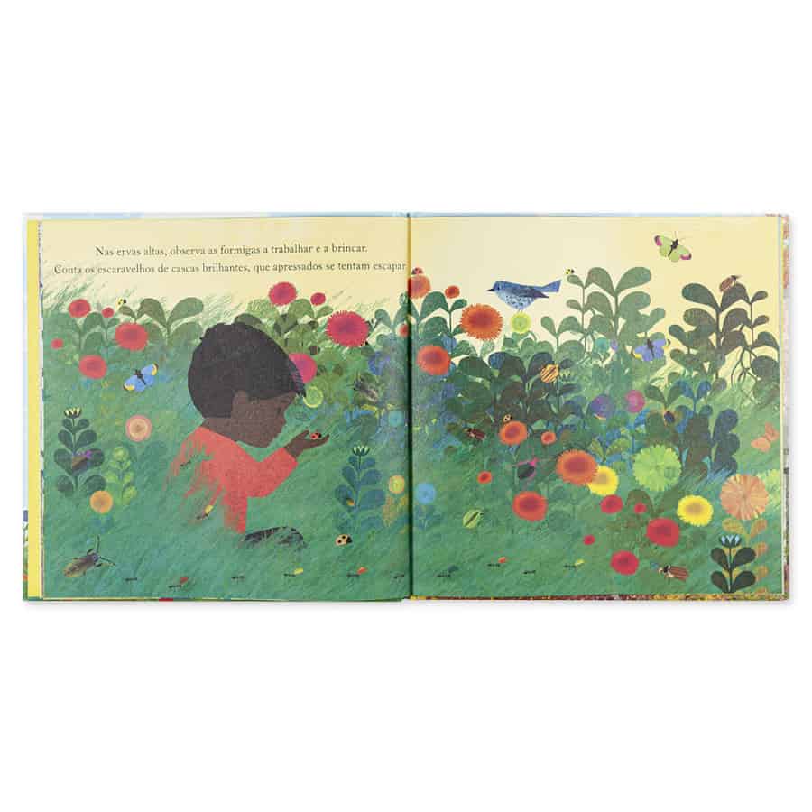 Uma canção cheia de céu - Edicare Editora Uma canção cheia de céu - Edicare Editora