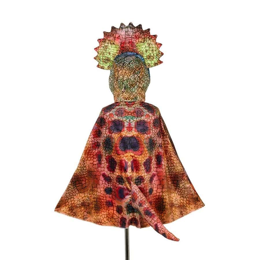 Capa de Triceratops - Souza for Kids Capa de Triceratops - Souza for Kids