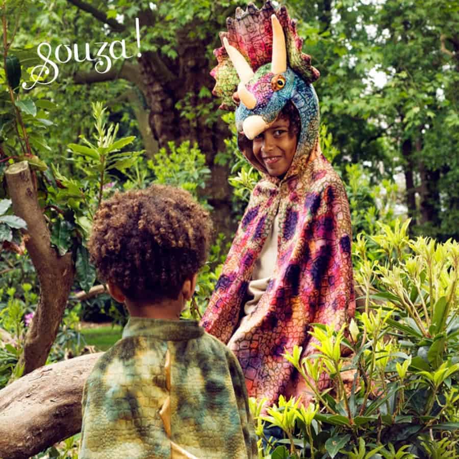 Capa de Triceratops - Souza for Kids Capa de Triceratops - Souza for Kids