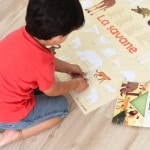 Autocolantes e Poster Discovery Savana - Poppik