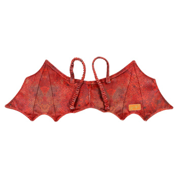 Asas de Dragão Vermelho e Máscara - Souza for Kids!